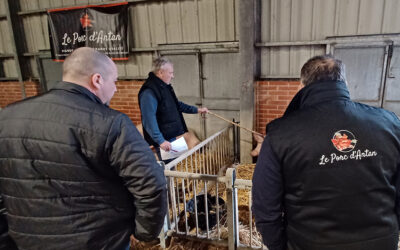 Concours de mars à Le Cateau Cambrésis